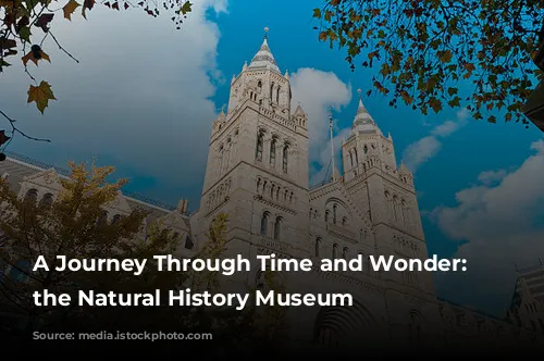 A Journey Through Time and Wonder: Exploring the Natural History Museum