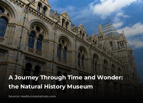 A Journey Through Time and Wonder: Exploring the Natural History Museum