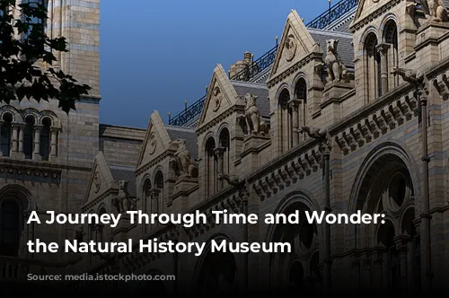 A Journey Through Time and Wonder: Exploring the Natural History Museum