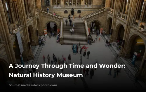 A Journey Through Time and Wonder: The Natural History Museum