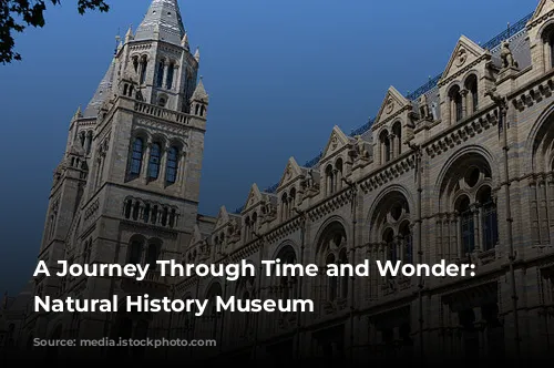 A Journey Through Time and Wonder: The Natural History Museum