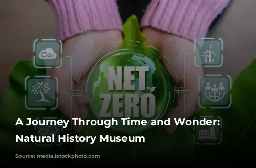 A Journey Through Time and Wonder: The Natural History Museum