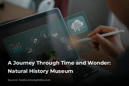 A Journey Through Time and Wonder: The Natural History Museum