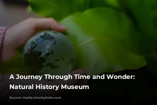 A Journey Through Time and Wonder: The Natural History Museum