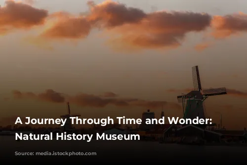 A Journey Through Time and Wonder: The Natural History Museum