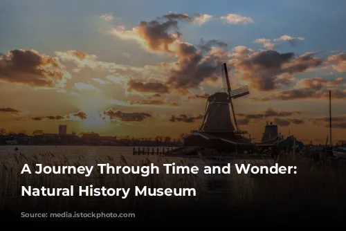 A Journey Through Time and Wonder: The Natural History Museum