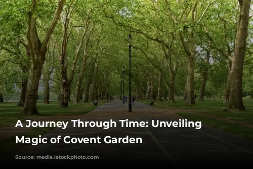 A Journey Through Time: Unveiling the Magic of Covent Garden