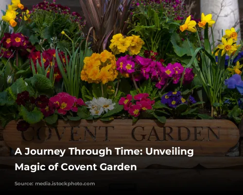 A Journey Through Time: Unveiling the Magic of Covent Garden