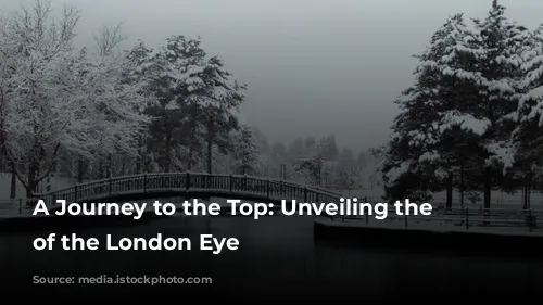 A Journey to the Top: Unveiling the Wonders of the London Eye