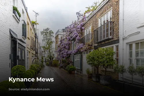 Kynance Mews