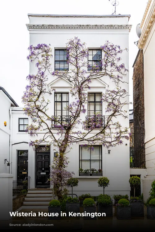 Wisteria House in Kensington