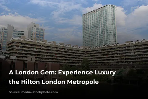 A London Gem: Experience Luxury at the Hilton London Metropole