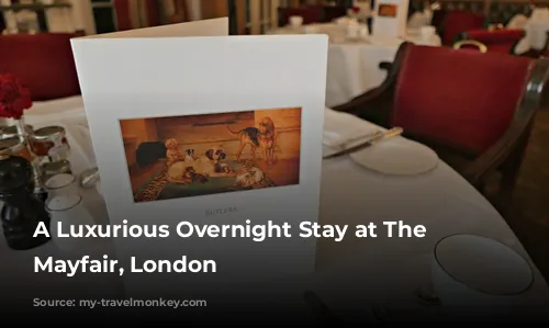 A Luxurious Overnight Stay at The Chesterfield Mayfair, London