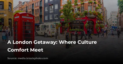 A London Getaway: Where Culture and Comfort Meet