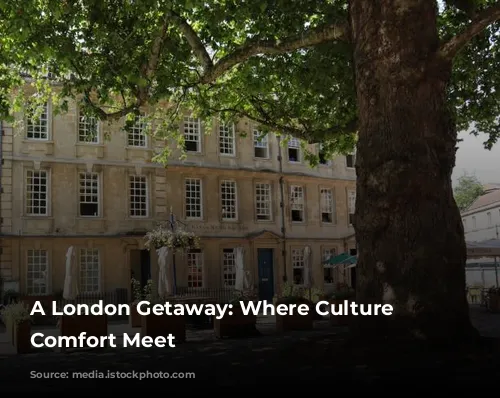 A London Getaway: Where Culture and Comfort Meet