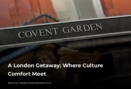 A London Getaway: Where Culture and Comfort Meet