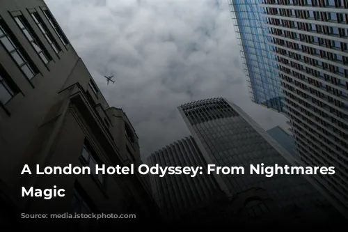 A London Hotel Odyssey: From Nightmares to Magic