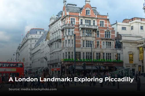 A London Landmark:  Exploring Piccadilly Circus