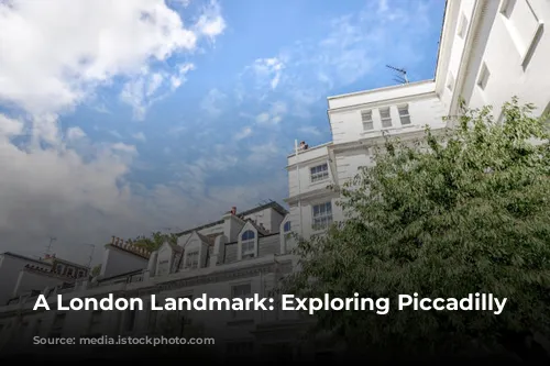 A London Landmark:  Exploring Piccadilly Circus