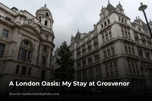 A London Oasis: My Stay at Grosvenor House