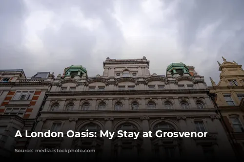 A London Oasis: My Stay at Grosvenor House