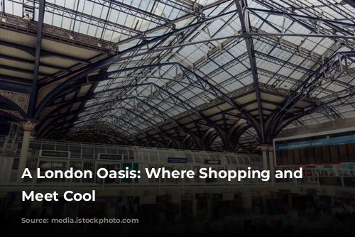 A London Oasis: Where Shopping and Food Meet Cool