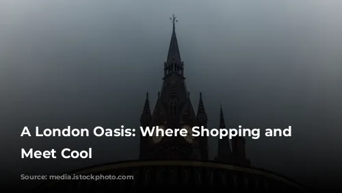 A London Oasis: Where Shopping and Food Meet Cool