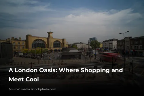 A London Oasis: Where Shopping and Food Meet Cool