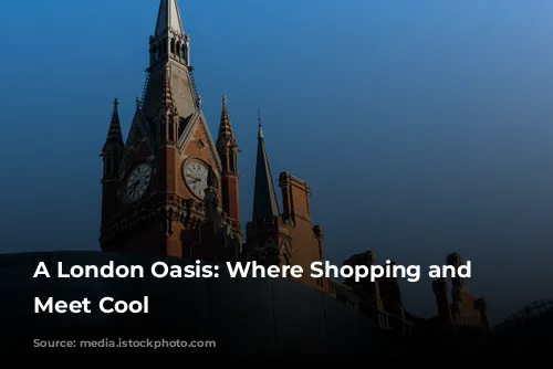 A London Oasis: Where Shopping and Food Meet Cool