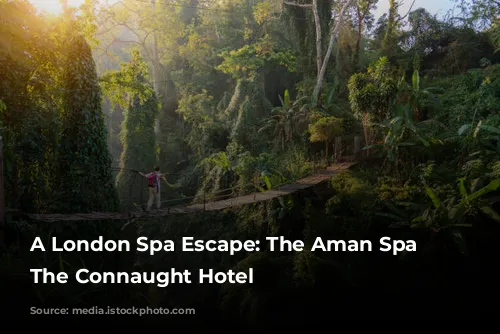 A London Spa Escape: The Aman Spa at The Connaught Hotel