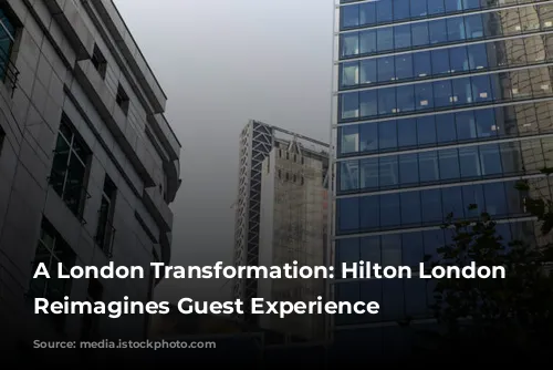 A London Transformation: Hilton London Metropole Reimagines Guest Experience