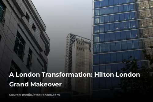 A London Transformation: Hilton London Metropole's Grand Makeover