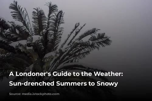 A Londoner's Guide to the Weather: From Sun-drenched Summers to Snowy Surprises