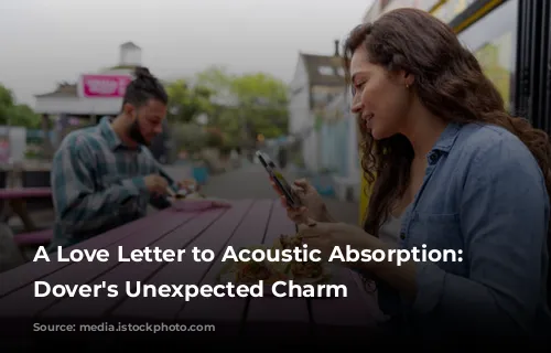 A Love Letter to Acoustic Absorption: The Dover's Unexpected Charm