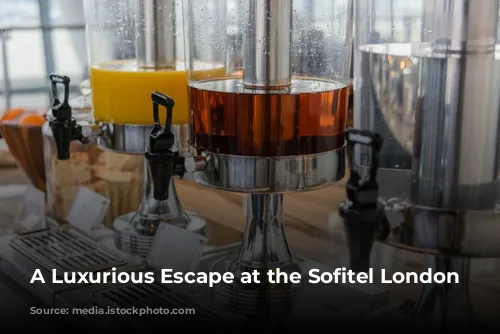 A Luxurious Escape at the Sofitel London Heathrow