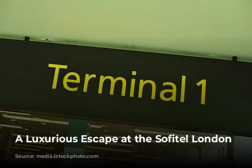 A Luxurious Escape at the Sofitel London Heathrow