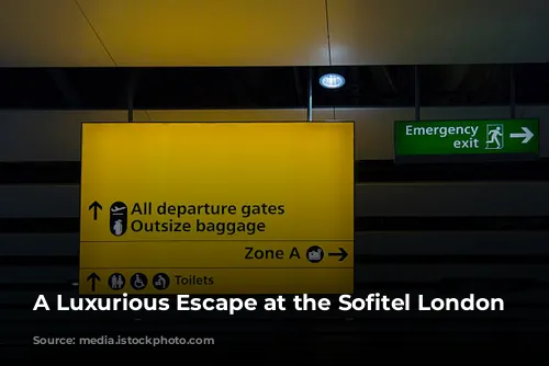 A Luxurious Escape at the Sofitel London Heathrow