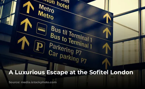 A Luxurious Escape at the Sofitel London Heathrow