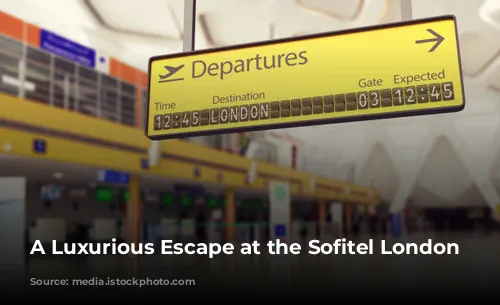 A Luxurious Escape at the Sofitel London Heathrow