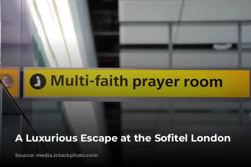 A Luxurious Escape at the Sofitel London Heathrow