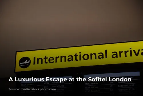 A Luxurious Escape at the Sofitel London Heathrow