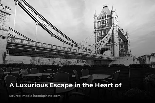 A Luxurious Escape in the Heart of London