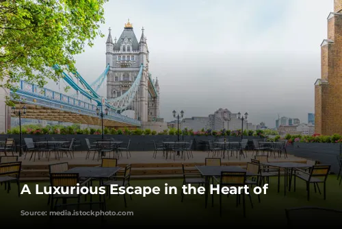 A Luxurious Escape in the Heart of London