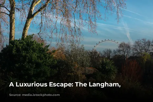 A Luxurious Escape: The Langham, London