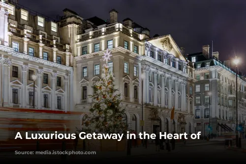  A Luxurious Getaway in the Heart of London 