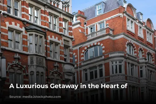  A Luxurious Getaway in the Heart of London 