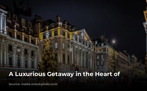  A Luxurious Getaway in the Heart of London 