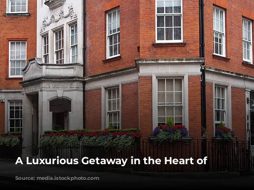  A Luxurious Getaway in the Heart of London 