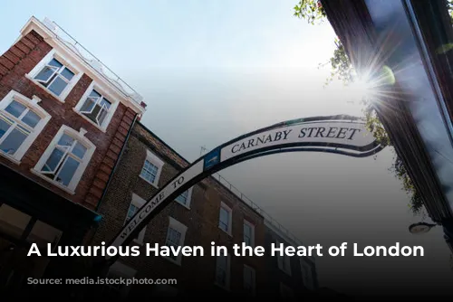 A Luxurious Haven in the Heart of London