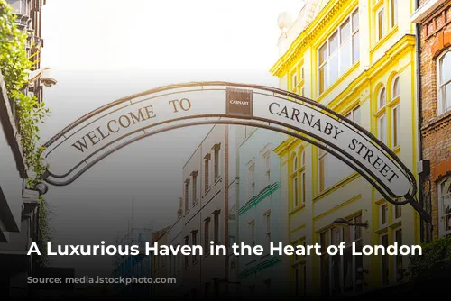 A Luxurious Haven in the Heart of London